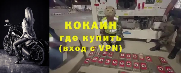 твердый Аркадак