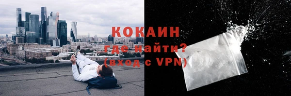твердый Аркадак