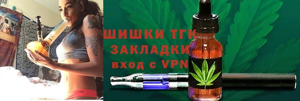 твердый Аркадак