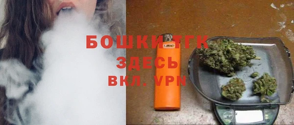 гидра Армянск