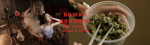 твердый Аркадак