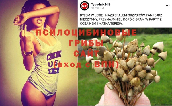 гидра Армянск
