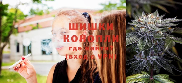 твердый Аркадак