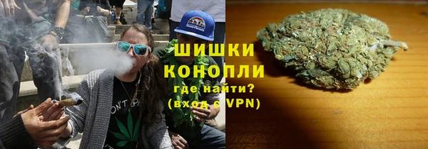 твердый Аркадак