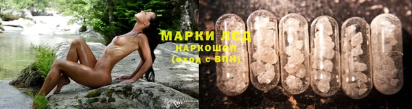 гидра Армянск